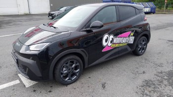 BYD Dolphin Surf 43.2 kWh 156 ch Comfort 5p d’occasion 1000km révisée et livrable partout en France