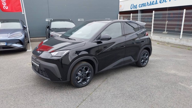 BYD Dolphin Surf 43.2 kWh 156 ch Comfort 5p 