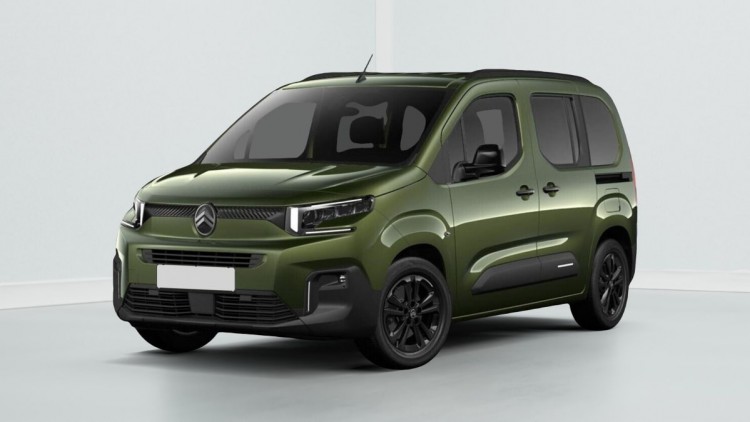 CITROEN Berlingo PLUS M Vert