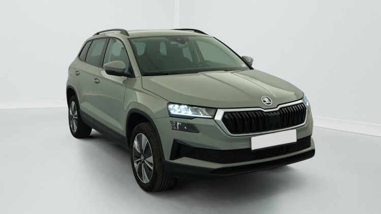 SKODA Karoq 2.0 TDI 116 ch SCR DSG7 Business Gris Perle