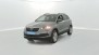 Acheter une SKODA Karoq 1.6 TDI 116 ch DSG7 Business 5p d'occasion de 2019 avec 134145kms