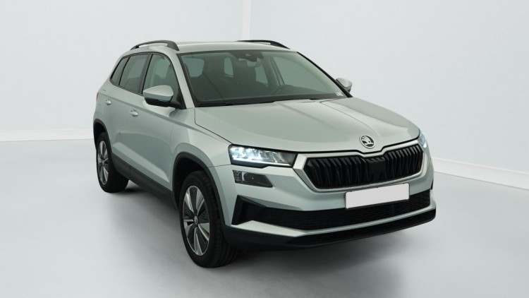 SKODA Karoq 2.0 TDI 116 ch SCR DSG7 Business Gris Argent