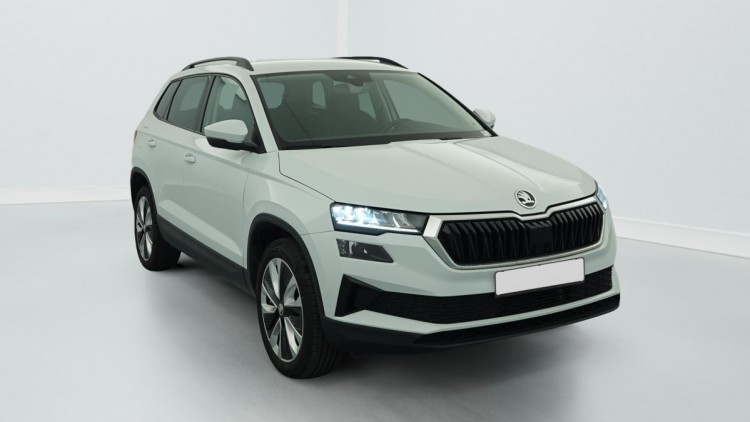 SKODA Karoq 2.0 TDI 116 ch SCR DSG7 Business Blanc Lune