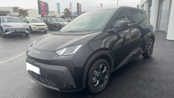 BYD Dolphin Surf 43.2 kWh 156 ch Comfort 5p