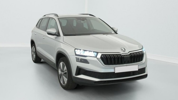 SKODA Karoq 2.0 TDI 116 ch SCR DSG7 Business Gris Argent